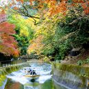 【びわ湖疏水船：びわ湖大津港便】一般乗船引換券　１名様分