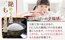 米&nbsp;にじのきらめき&nbsp;和歌山県産&nbsp;10kg（5kg×2）（2025年産）［SL15］