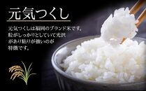 ＜令和6年産新米＞【3ヶ月定期便】元気つくし無洗米2kg×3袋(計6kg×3回)【無洗米 精米 ご飯 ごはん 米 お米 元気つくし ブランド 小分け 包装  備蓄米 定期便 便利 筑前町産 旬 おにぎり お弁当 食品 筑前町ふるさと納税 ふるさと納税 筑前町 福岡県 送料無料 AB022】