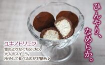 ユキノトリュフ 8個 チョコレート ココア おやつ スイーツ  洋菓子 バレンタイン 誕生日 お祝い 贈り物 ギフト 取り寄せ 冷凍 グルメ 土産 パーティー 魚野の里 ナトゥーラ 新潟県 南魚沼市