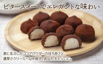 ユキノトリュフ 8個 チョコレート ココア おやつ スイーツ  洋菓子 バレンタイン 誕生日 お祝い 贈り物 ギフト 取り寄せ 冷凍 グルメ 土産 パーティー 魚野の里 ナトゥーラ 新潟県 南魚沼市