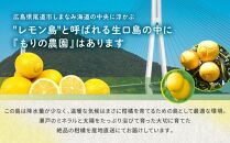 【有機JAS認証】レモン島からお贈りするオーガニックレモン ３kg 有機レモン 産直 国産 有機栽培