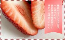 特大まりひめイチゴ 朝摘 6個～11個入×4パック【2025年1月中旬頃より発送】【先行予約】【KT4】