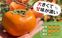 柿(種無し) 6個入 (約2kg)  秀品大玉【2025年9月下旬頃より発送】【KT1】