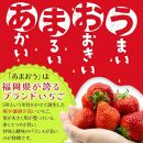 ※受付停止※あかい・まるい・おおきい・うまい「博多あまおう」の冷凍あまおう　500g【あまおう 食品 あまおう フルーツ あまおう 果物 苺くだもの いちご 食品 イチゴ 人気 あまおう おすすめ 送料無料 福岡県 大川市 KC024】