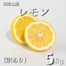 和歌山産 レモン 5kg 【訳あり】【UT1】