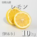 和歌山産 レモン 10kg 【訳あり】【UT3】