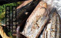 大満足！カツオたたき 約3.0kg（タレ・塩つき）