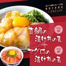 高知の海鮮丼の素「真鯛の漬け」約80g×5パック +「マグロの漬け」約80g×5パック