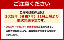 【令和7年産】【定期便7ヶ月】南魚沼産こしひかり　みやた米10kg（5kg×2袋）