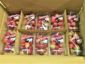 小豆島レットスター&nbsp;(すもも)&nbsp;350g×10パック