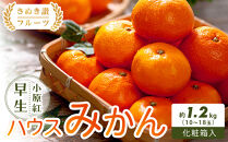 【さぬき讃フルーツ】小原紅早生ハウスみかん&nbsp;化粧箱入り&nbsp;約1.2kg&nbsp;(10～18玉入り)