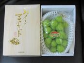 シャインマスカット&nbsp;1房化粧箱入り&nbsp;(約550g)