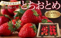 いちご とちおとめ 500g ( 250g × 2パック ) 苺 イチゴ 果物 くだもの フルーツ 先行予約 ご当地 お取り寄せ 産地直送 朝摘み 人気 おすすめ 宮城