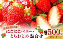【JAみやぎ仙南】宮城県角田市産いちご　にこにこベリー・とちおとめ詰合せ　合計約500g（250g×2パック）