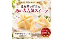 チロリヤン10個入（プレーン）&nbsp;洋菓子チロリヤン