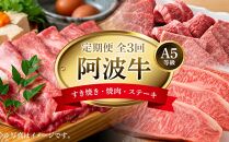 定期便全３回　阿波牛定期便 A5等級(特選すき焼きセット・匠焼肉セット・サーロインステーキ）