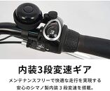 【100％完成納品】PELTECH（ペルテック）後チャイルドシート付子供乗せ適用電動アシスト自転車 20型内装3段 TDN-207LP-8 AH-CH【マットブラック】