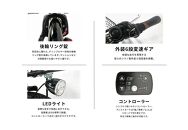 PELTECH（ペルテック）ノーパンク 折り畳み電動アシスト自転車 20インチ 折り畳み外装6段変速（TDN-208LN）【簡易組立必要】【ライトグリーン】