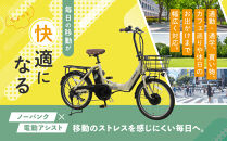 PELTECH（ペルテック）ノーパンク&nbsp;折り畳み電動アシスト自転車&nbsp;20インチ折り畳み外装6段変速&nbsp;（TDN-212LN）【簡易組立必要】【マットグレイ】【&nbsp;自転車&nbsp;電動アシスト&nbsp;電動自転車&nbsp;サイクリング&nbsp;アウトドア&nbsp;スポーツ&nbsp;大阪府&nbsp;堺市】