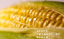  【富士山の麓で育つ】河口湖町 Inakakara 「ゴールドラッシュ」6本 野菜 やさい とうもろこし トウモロコシ コーン 先行予約