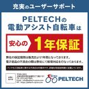 【100％完成納品】PELTECH（ペルテック）後チャイルドシート付子供乗せ適用電動アシスト自転車 前24/後20内装3段 TDH-408L-CH【ブルー】