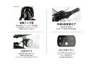 PELTECH（ペルテック）ノーパンク 折り畳み電動アシスト自転車 20インチ 折り畳み外装6段変速（TDN-208LN）【簡易組立必要】【ブルー×ブラック】