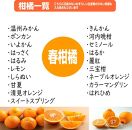 柑橘詰め合わせセット 約7kg 家庭用４種以上 和歌山産