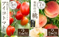 和歌山の旬の果実を 奇数月にお届け全6回定期便（キウイ・清見オレンジ・ミニトマト・桃・ピオーネ・富有柿）【TM62】