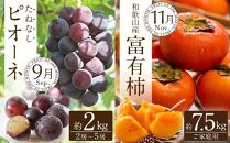 和歌山の旬の果実を 奇数月にお届け全6回定期便（キウイ・清見オレンジ・ミニトマト・桃・ピオーネ・富有柿）【TM62】