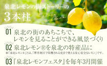 泉北レモンの街ストーリー（R）Honey ＆ 泉北みつ 4本セット