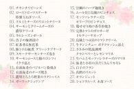 洋風 おせち ワインによく合うビストロおせち 「ローザ」 2個 セット 28品 洋風おせち専門店 1～2人前