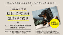 オリジナルキャンバス印刷（ジクレー印刷）P8号
