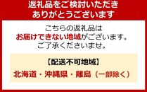 自動空気補充サイクル　20カリブーライト6Sエアハブオートライト【レッド】