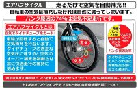 自動空気補充サイクル　20マラッカ6Sエアハブオートライト【マットブラック】