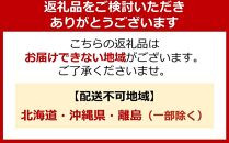 自動空気補充サイクル　20マラッカ6Sエアハブオートライト【マットブラック】