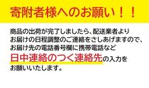 ヱビス自転車　 子供乗せ自転車 セデオ263 シマノ製内装3段変速 OGK製後子供乗せ付 電動なし RBC-017DX ZERO PLUS【マットカーキ】