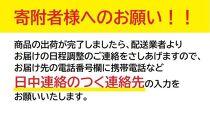 ヱビス自転車　モース276DX【マットネイビー】