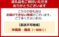 ヱビス自転車　子供自転車　エッセ20-H　マカロンラベンダー