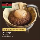 【粉】#013 ケニア AA Qグレード コーヒー豆 310g 当日焙煎 大山珈琲