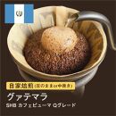 【粉】#049 グァテマラSHB カフェピューマ Qグレード コーヒー豆 310g 当日焙煎 大山珈琲