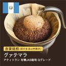 【豆】#065 グァテマラ アティトラン Qグレード コーヒー豆 310g 当日焙煎 大山珈琲