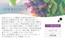 除菌ができる携帯ノロV 堺市ハニワ部長Ver. 安心の日本製 アルコール除菌剤