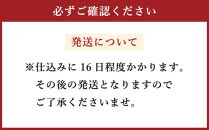 雪あかり特製 サーモンのスモーク 生ハム 250g