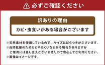 【訳あり】広葉樹ミックスたき火お試しセット(9kg×1箱)