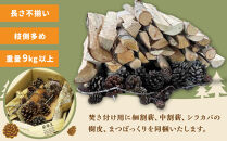 【訳あり】広葉樹ミックスたき火お試しセット(9kg×1箱)