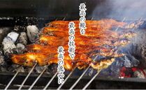 うな亭特製手焼き炭焼うなぎ　5尾セット