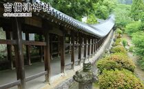 【岡山市】JTBふるさと旅行券（紙券）90,000円分