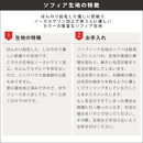 arne　Cube’s L40 ソフィア【ダークブラウン】