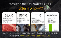 大阪ウメビーフ　サイコロステーキ700g